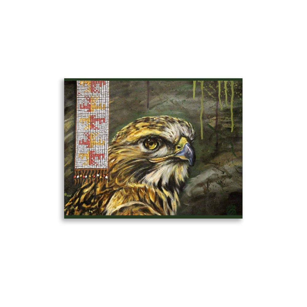 Hawk, fine art print by Alan Compo