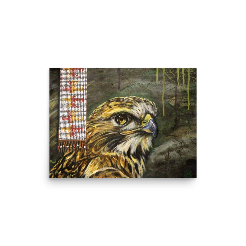 Hawk, fine art print by Alan Compo