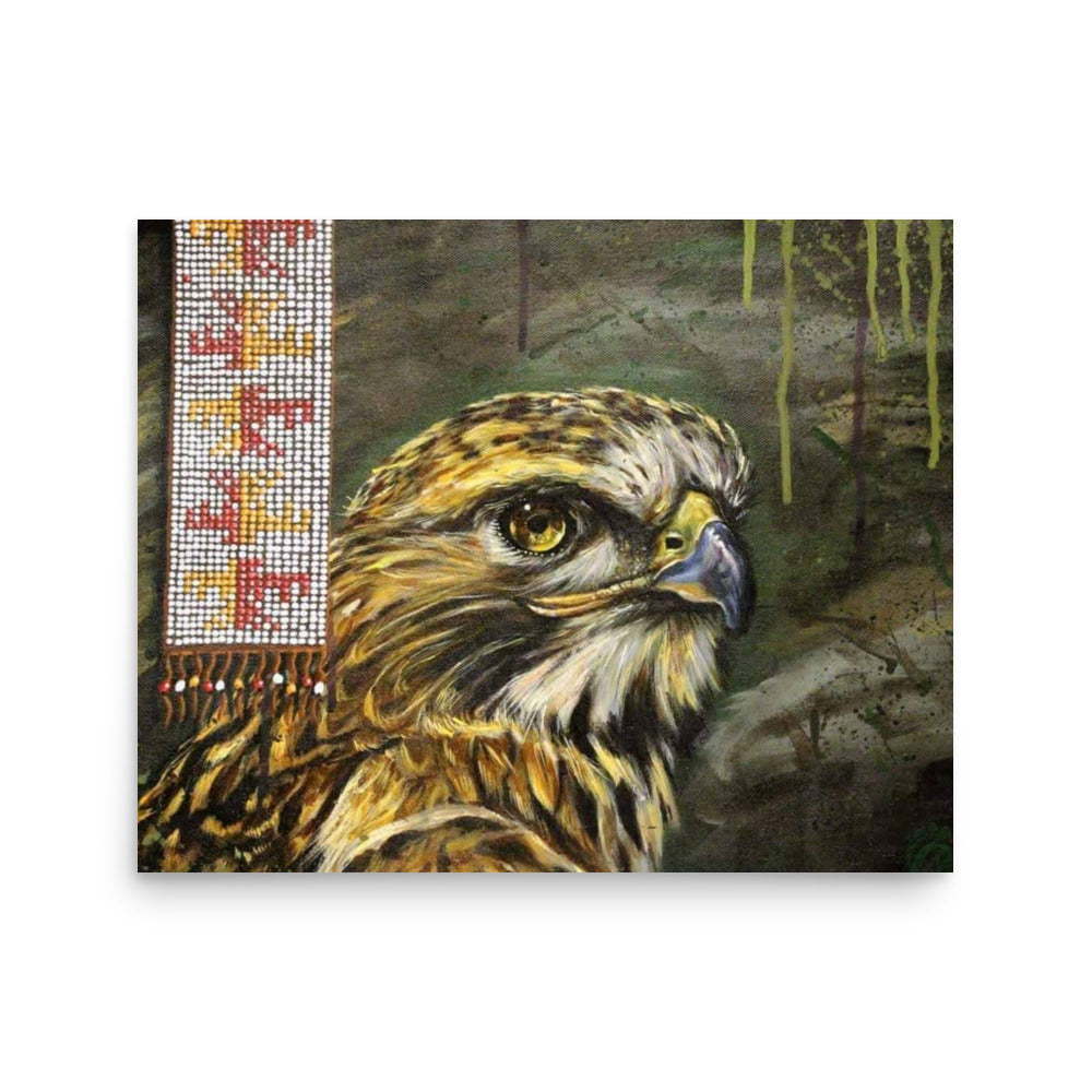 Hawk, fine art print by Alan Compo